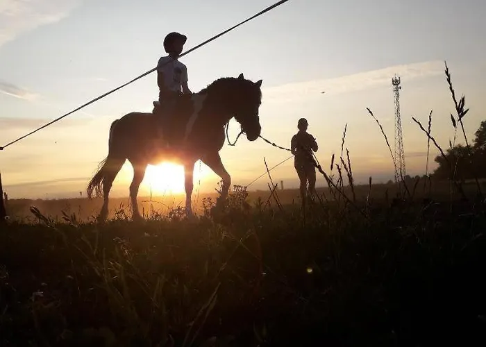 Włochate Ranczo * Mochowo